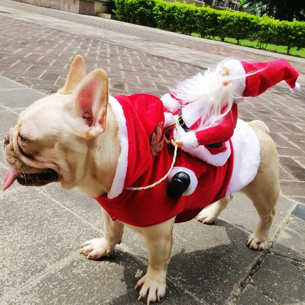 SantasHelper - Xmas Dog Costume